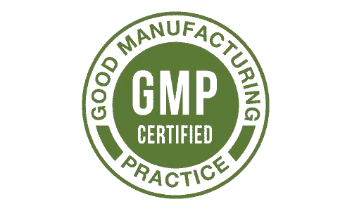 GMP Certified logo for Flash Burn, indicating that the product is manufactured following Good Manufacturing Practices for quality and safety.